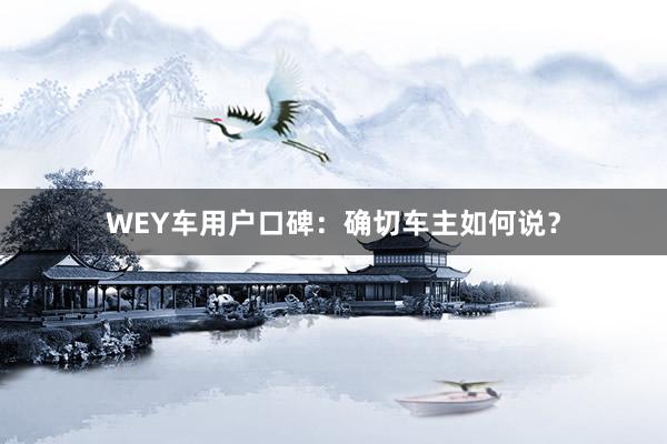 WEY车用户口碑：确切车主如何说？